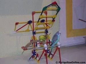periquito zona juegos 3 trucos y juegos zona juegos 3
