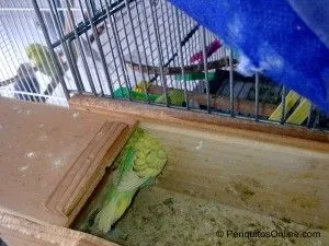 Imagen043
