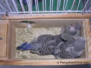 DSCN6274 DSCN6274