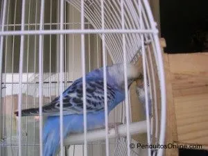 DSCN6290 DSCN6290