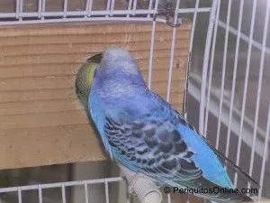 DSCN6381 DSCN6381