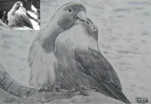 retrato mascotas