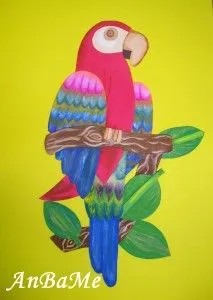 loro foami