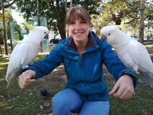 aves australianas