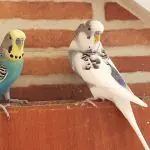 148934652 1043422456169297 6748985991163316179 N