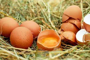 Huevos Gallina