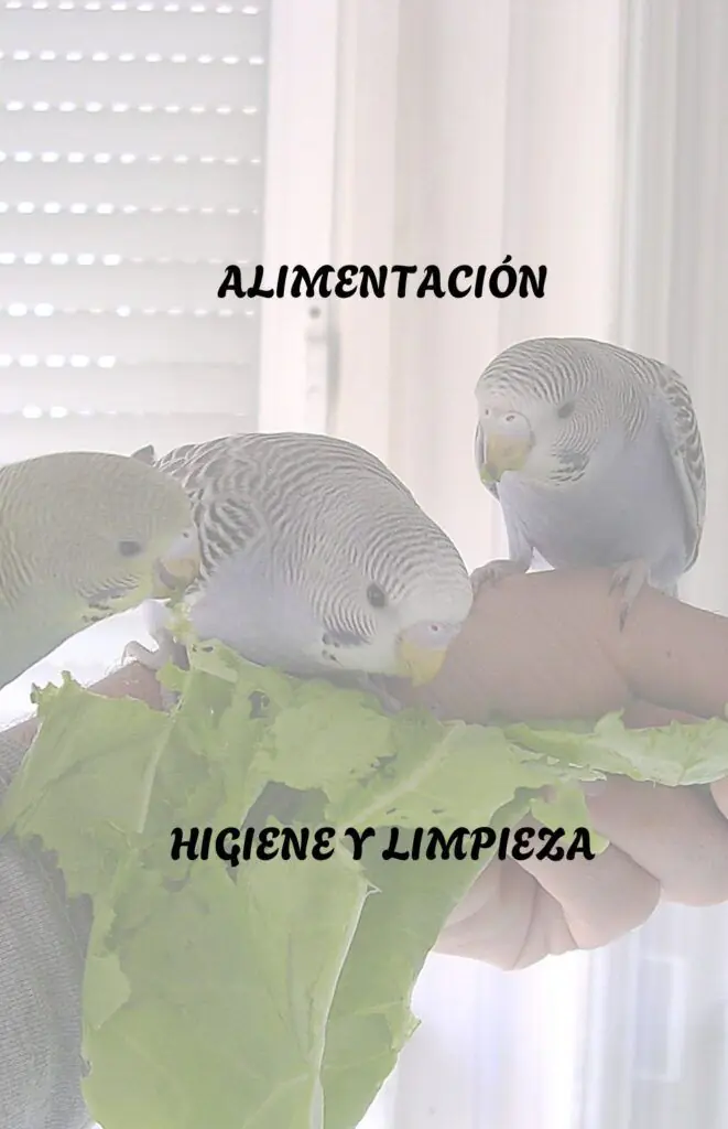 ALIMENTACION HIGIENE Y LIMPIEZA
