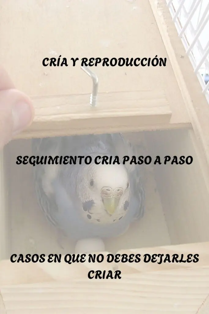 CRIA Y REPRODUCCION