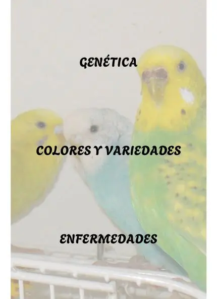 GENETICA COLORES Y VARIEDADES ENFERMEDADES