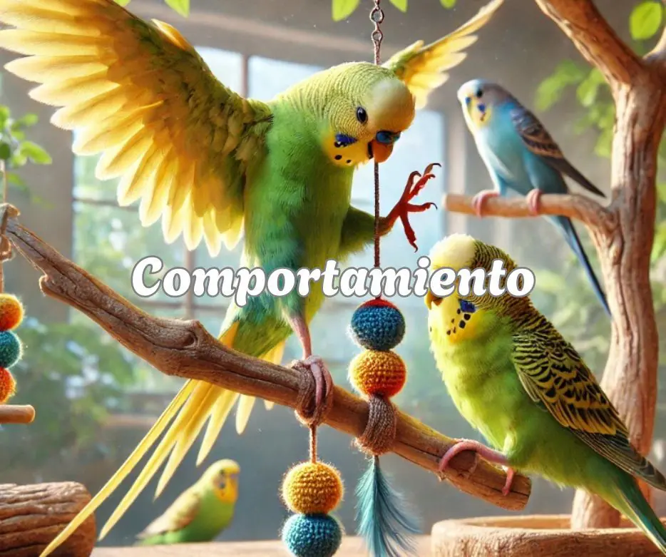 Comportamiento