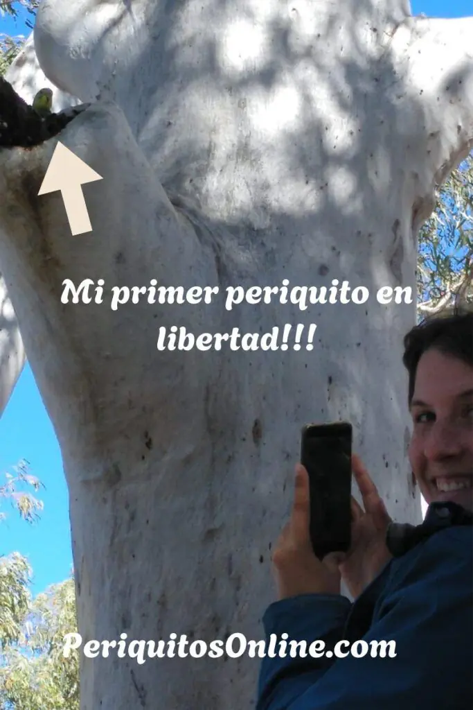 sobre mi